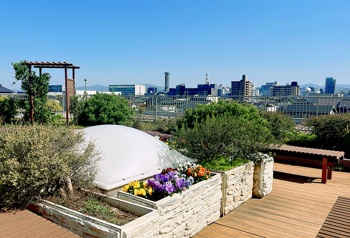 屋上庭園